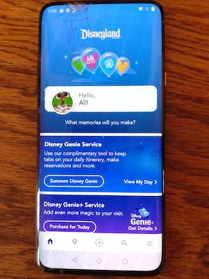 Cell phone with Disneyland app, cracked screen